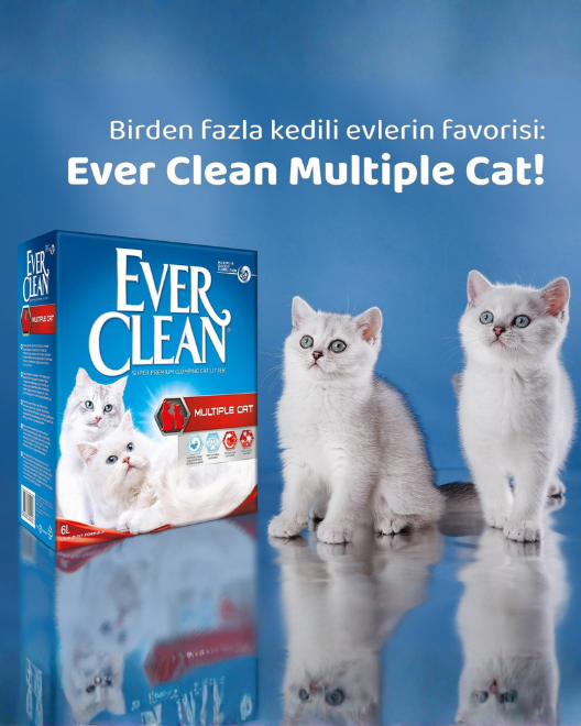 Ever Clean ile Farkı Hissedin