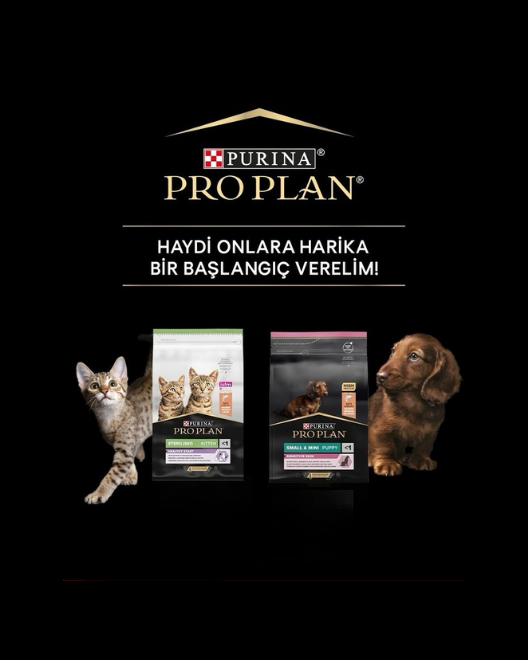 Profesyonel Beslenme Desteği