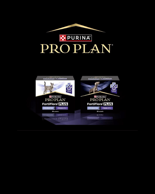 Bağırsak ve Sindirim Sağlığı