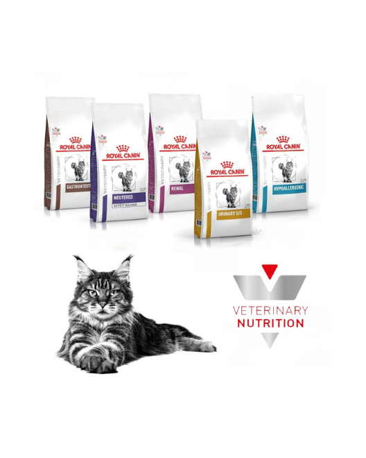 Veteriner Onaylı Beslenme