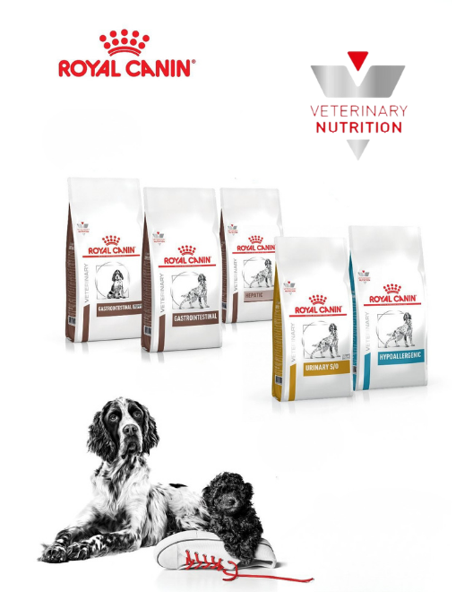 Veteriner Onaylı Beslenme